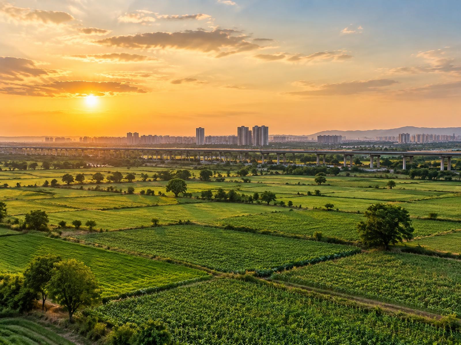 Agricultural Land property opportunity